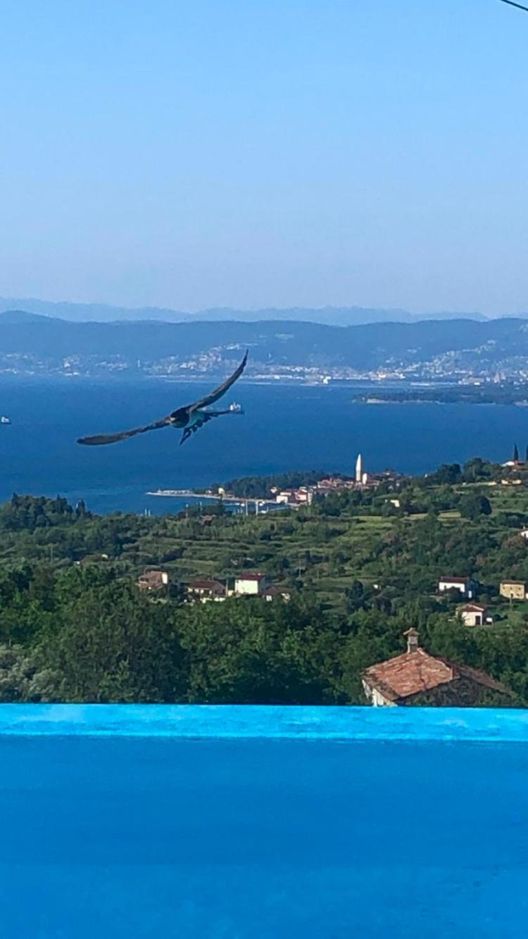 Apartmaji Meli Pu Izola Exteriör bild